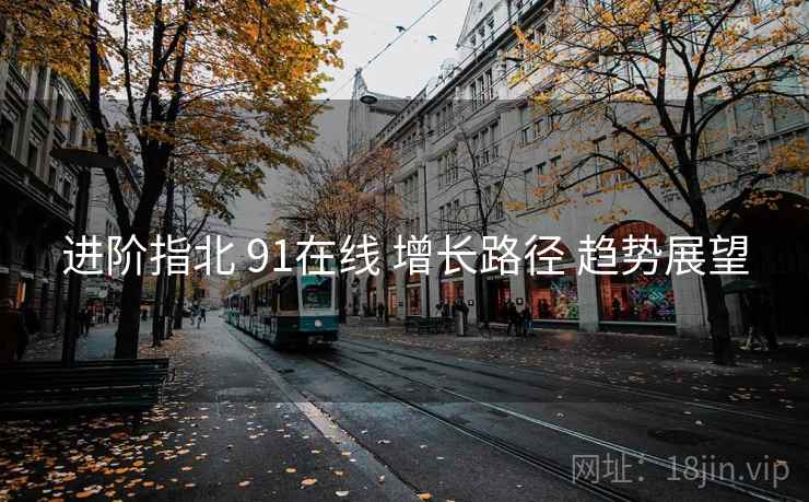 进阶指北 91在线 增长路径 趋势展望