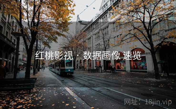 红桃影视 · 数据画像 速览