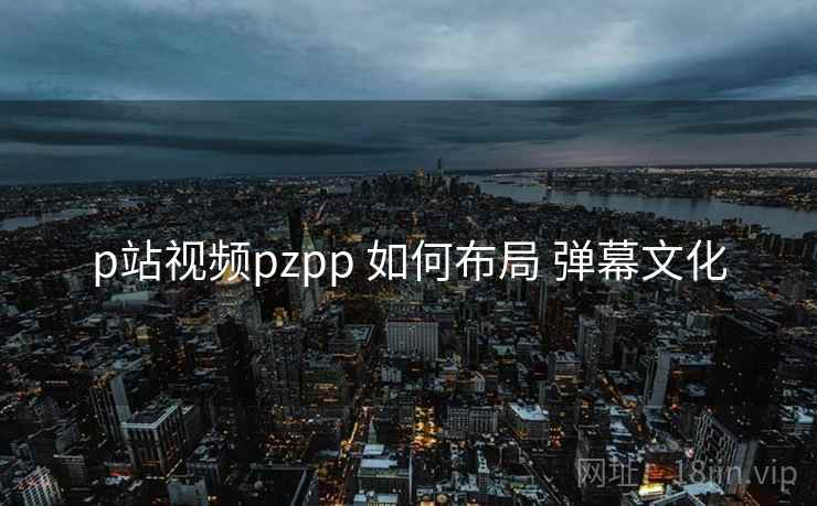 p站视频pzpp 如何布局 弹幕文化