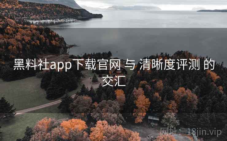 黑料社app下载官网 与 清晰度评测 的交汇 第2张 黑料社app下载官网 与 清晰度评测 的交汇 第2张