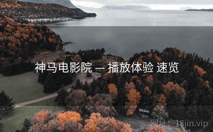 神马电影院 — 播放体验 速览